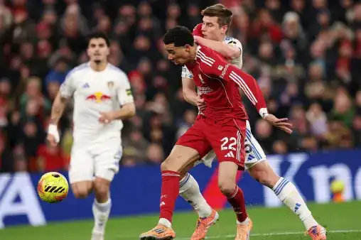 全場回放（顏強(qiáng)、賀宇、程思?xì)J）