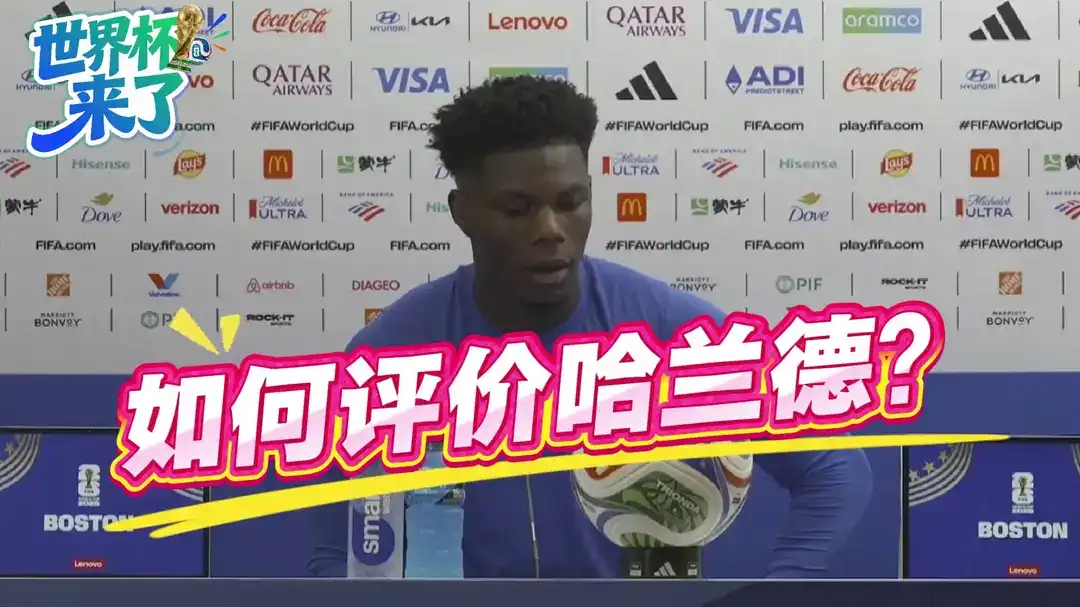 [全场录像] 世界杯 法国 3-0 瑞典
