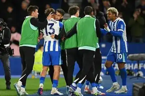 全場回放（蘇東、徐陽、林夢鴿）