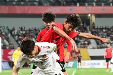 https://img-cdn.namitiyu.com/video/collection/f5785fc70a.jpg