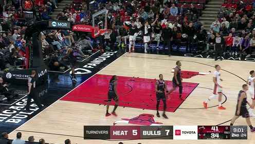 阿德巴約vs公牛全場拿下20+12集錦